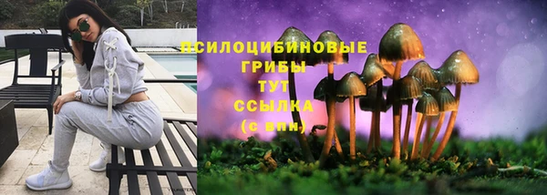 MDMA Premium VHQ Богородицк