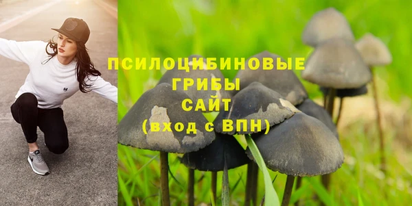MDMA Premium VHQ Богородицк