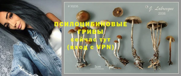 винт Беломорск